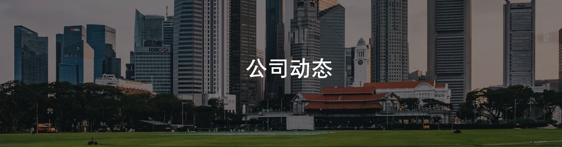 公司动态