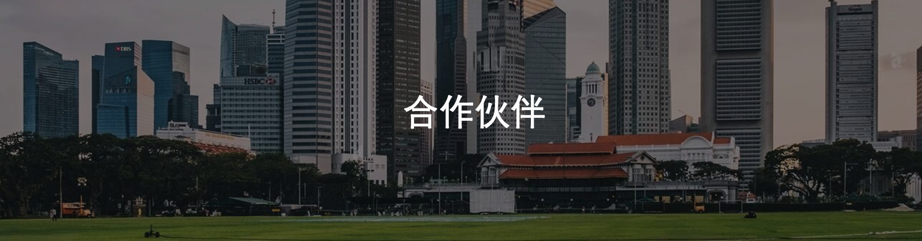 合作伙伴